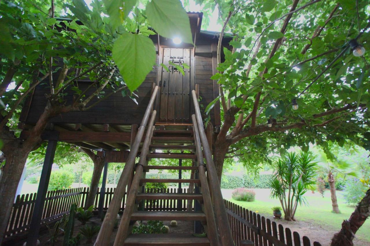 Naturetreehouse Casa Sobre Los Arboles ξενώνας Blanes Εξωτερικό φωτογραφία