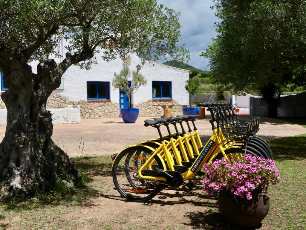 Naturetreehouse Casa Sobre Los Arboles ξενώνας Blanes Εξωτερικό φωτογραφία