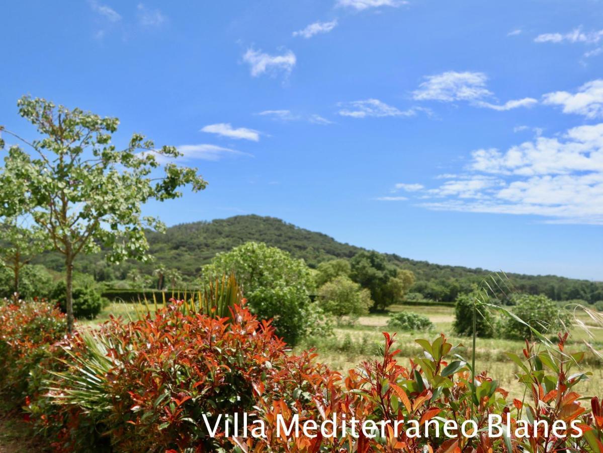 Naturetreehouse Casa Sobre Los Arboles ξενώνας Blanes Εξωτερικό φωτογραφία