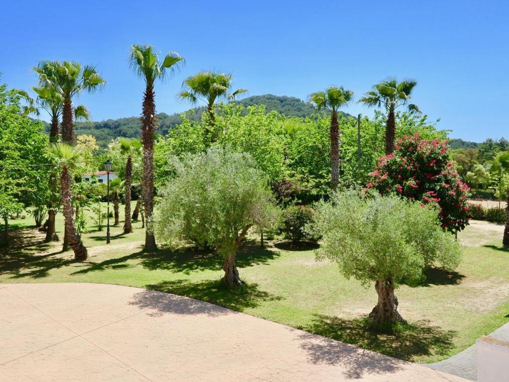 Naturetreehouse Casa Sobre Los Arboles ξενώνας Blanes Εξωτερικό φωτογραφία